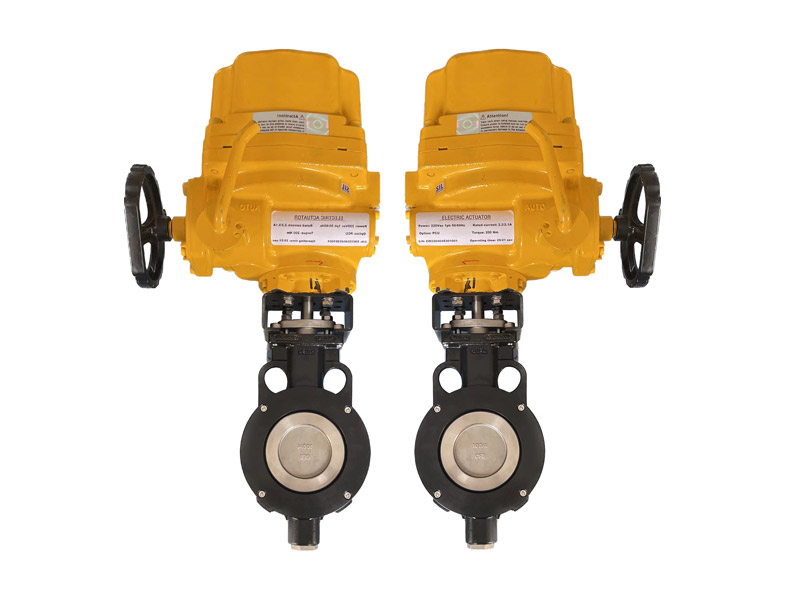 Double Offset Pneumatic Butterfly Valve