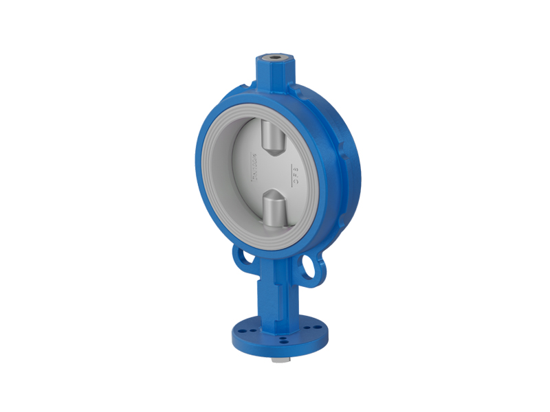 Double Offset Butterfly Valve