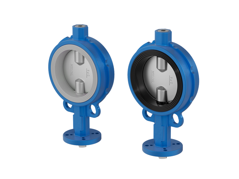 Double Offset Butterfly Valve