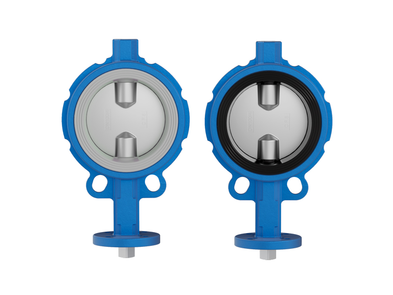 Double Offset Butterfly Valve